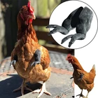 Забавное украшение для домашних животных, игрушка для рук, мышек, курицы, птицы, украшение для тела и кулака, кляп, подарок для курицы, пластиковые рукоятки