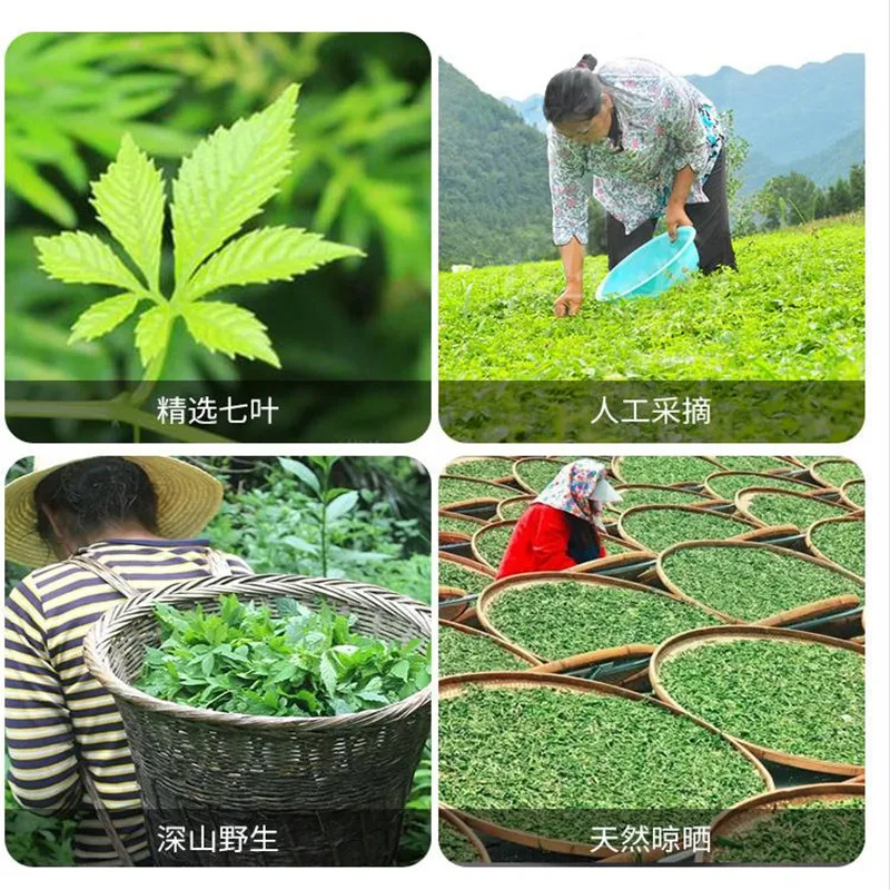 

China Quality Pure Gynostemma Blue Tea, ISO Certified, jiao gu lan, Free Shipping