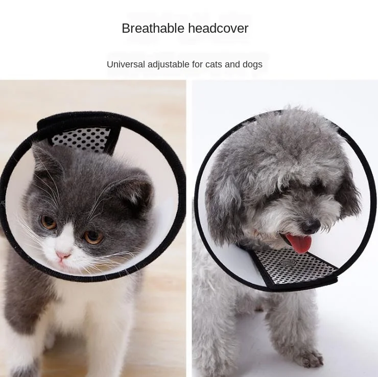 Головной убор для кошек и собак принадлежности домашних животных кольцо