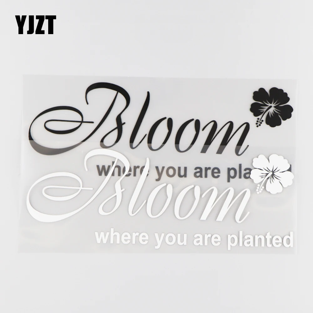 YJZT 22X8CM цветение, где вы посажены Виниловая наклейка для автомобиля Наклейка Слово Искусство Мода черный/серебристый 4C-0042