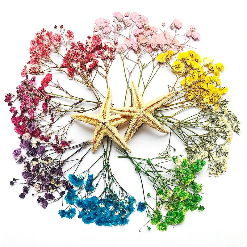 12 шт мини цвет на возраст от 4 до 9 лет cm сушеный прессованный цветок Гипсофилы
