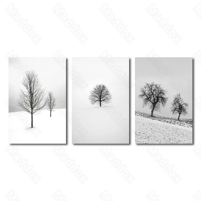 

Still Life Pattern Winter Snowing Scene Black and White Mural Modern Fashion Creative Corridor Bedroom Decoration Painting