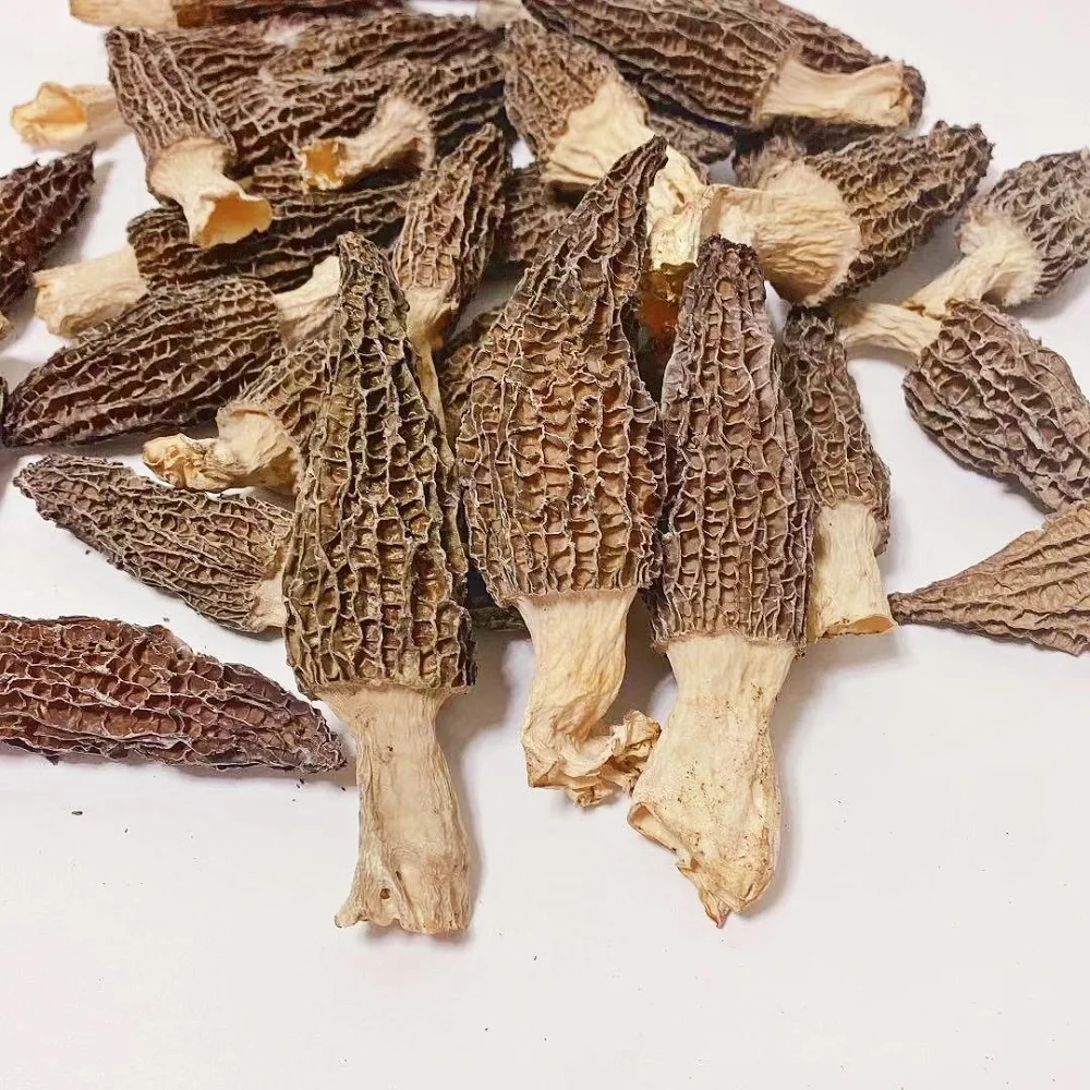 

500g High Grade Luxury Dried Morels Mushroom