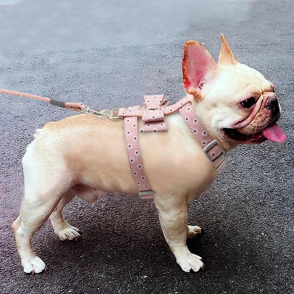 Поводки и жгуты для собак ошейник домашних животных Набор ошейников маленьких