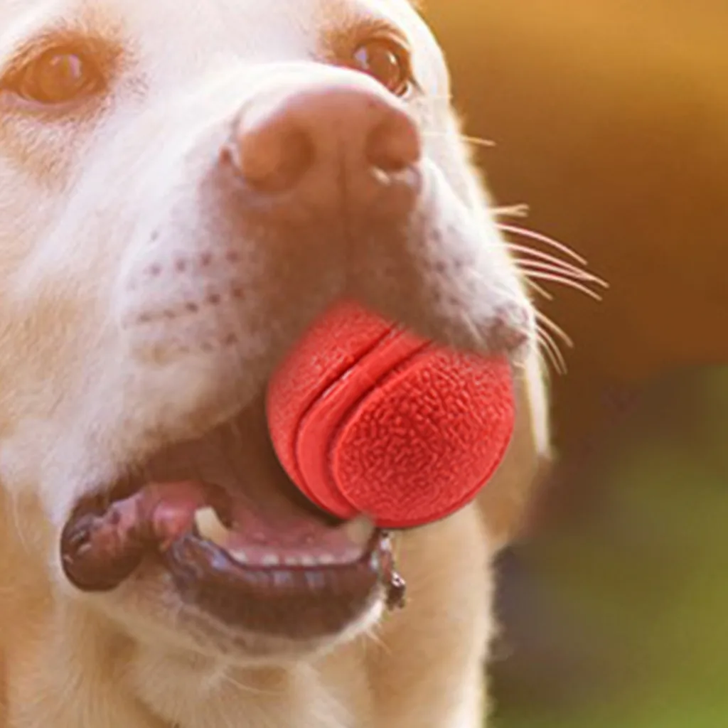 Игрушки для собак 1 шт. резиновый узор твердый мяч игрушка собаки дрессировка