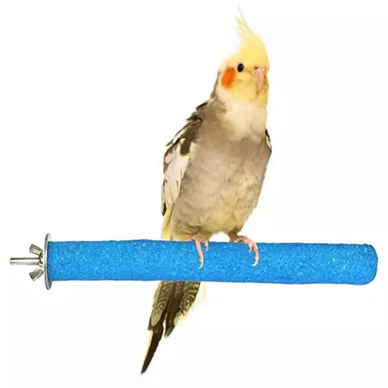 

20CM Bird Perch Rough-Surfaced Anti-Bite Wood Bird Cage Bird Stand Parrot Perch Random Color Funny Training Toys Pet Products