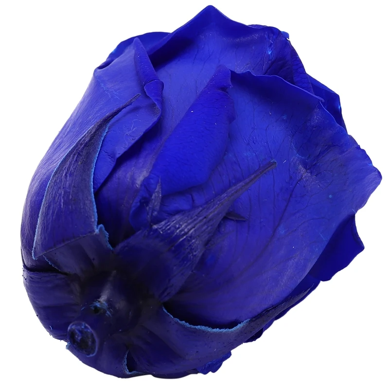 

Practical Eternal Roses Heads,Real Natural Fresh Preserved Rose,Forever Rose,Immortal Flower Material
