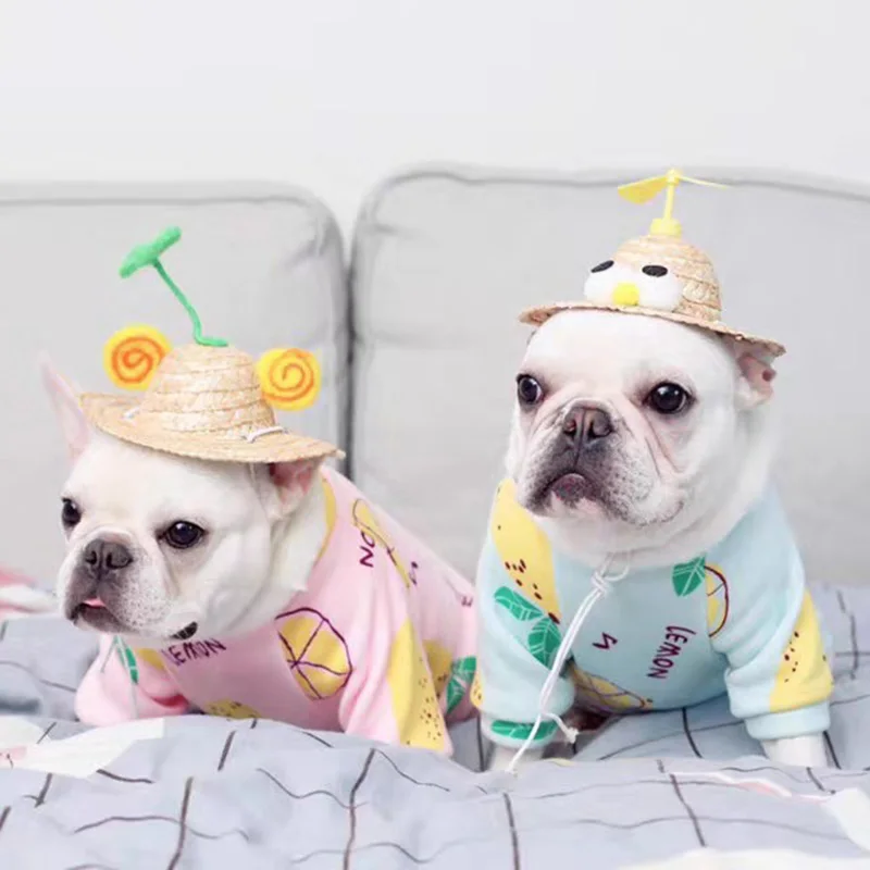 Милая одежда для маленьких собак Shih Tzu толстовка с капюшоном йоркширского