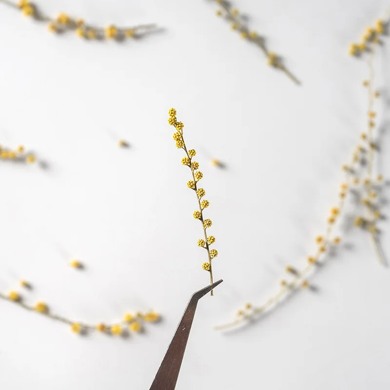

60pcs Pressed Dried Natural Yellow Flower Herbarium For Epoxy Jewelry Bookmark Phone Case Makeup Nail Art Craft DIY
