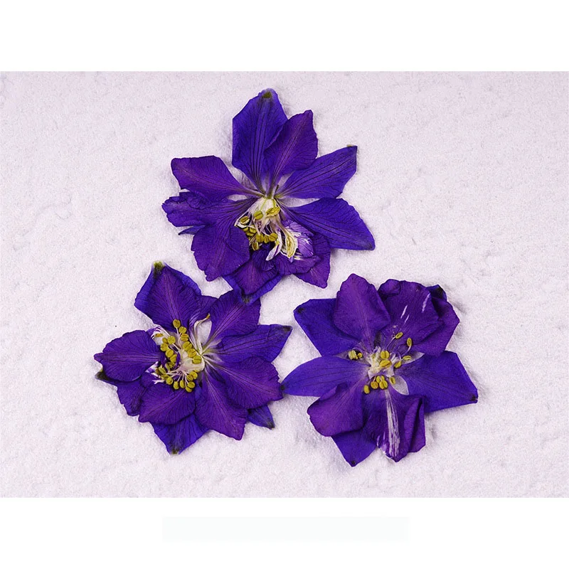 1 коробка цветов для нейл-арта 3D украшения ногтей сушеные цветы листья