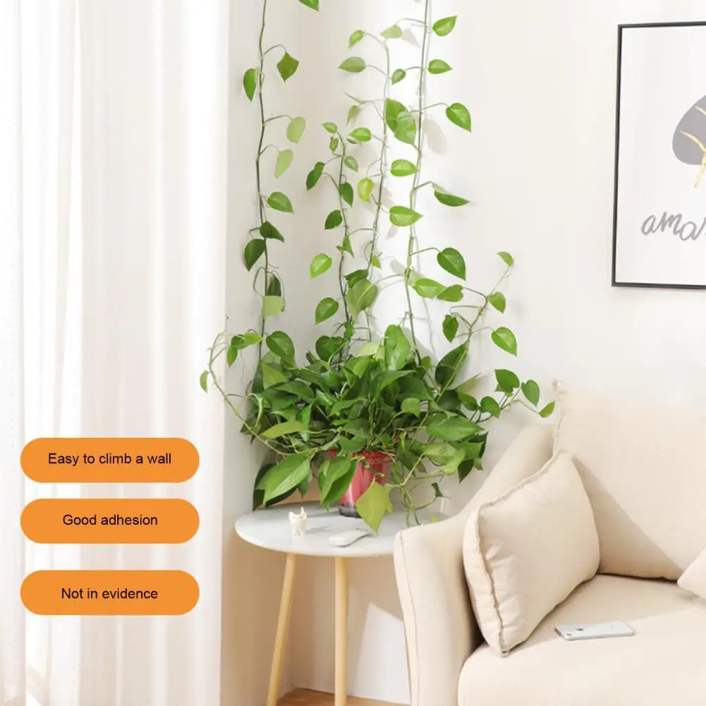 

Зажим для прививки растений, хороший зажим, уникальный настенный зажим, практичный зажим без перфорации