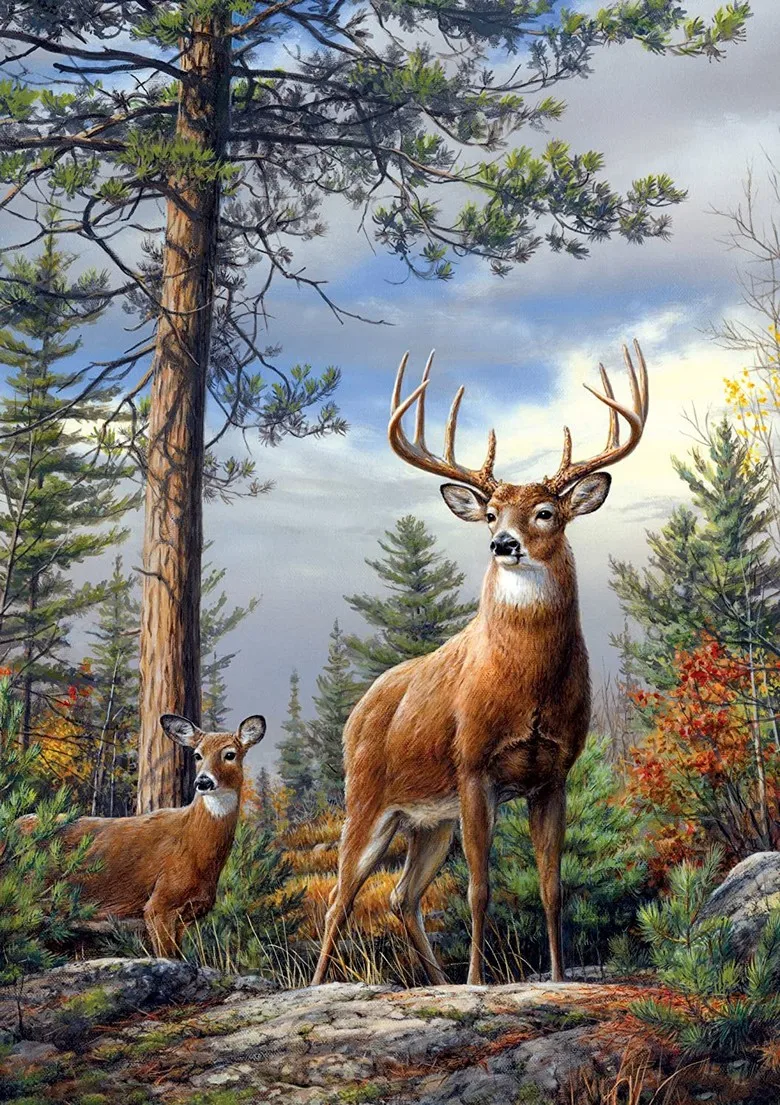 

JMINE Div 5D deer tree Forest Full Diamond Painting cross stitch kits art High Quality Animal 3D paint by diamonds
