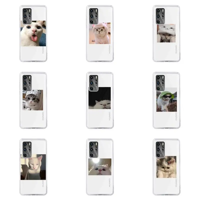 

Cute Cats New Year Gifts Phone Case For Huawei P40 P30 P20 Mate Honor 10i 30 20 i 10 40 8x 9x Pro Lite Transparent Cover