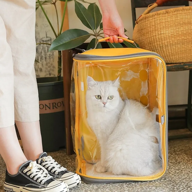 

2020 New Lightweight Bag Go Out Portable Messenger Cat Shoulder Cat Bag Large Capacity Transparent Pet Space Capsule Handbags