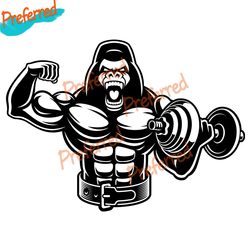 Animal Style Gorilla Fitness Dumbbell Gym Motorcycle Sticker Decal High Quality KK Vinyl Waterproof PVC Die Cutting on - Наклейка-стикер Animal Style Горилла для фитнеса, штанги, мотоцикла высокого качества KK Vinyl водонепроницаемая с высокой стойкостью 