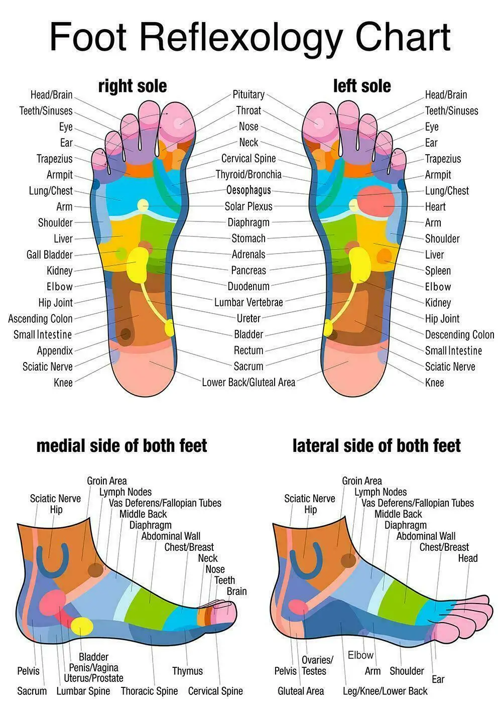 

Lot style Choose Reflexology Foot Chart Art print Silk poster Home Wall Decor