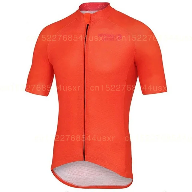 Украденный козел мужские s Core Велоспорт Джерси Мужчины розовый с коротким