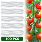 Крепежные зажимы 100 шт.лот для овощей, томатов, чтобы предотвратить изгиб, крепежные зажимы для фруктов, цветов, зеленых растений, рассады