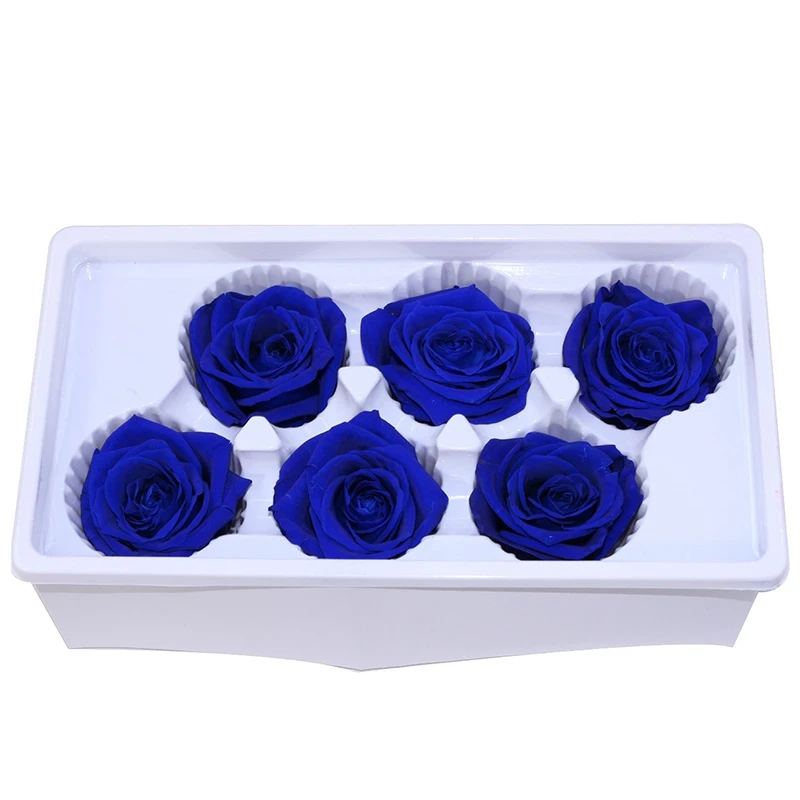 Вечные розы настоящие натуральные свежие консервированные вечная роза