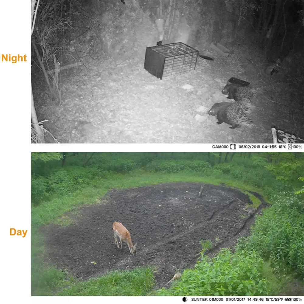 SUNTEK HC802A 16MP 1080P Trail камера фото ловушка инфракрасная камера для охоты на животных trailcam камера охотник на диких животных Chasse fototrappola