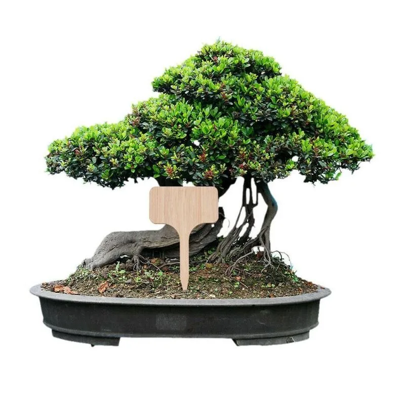 T образные бамбуковые этикетки для растений экологически чистые деревянные