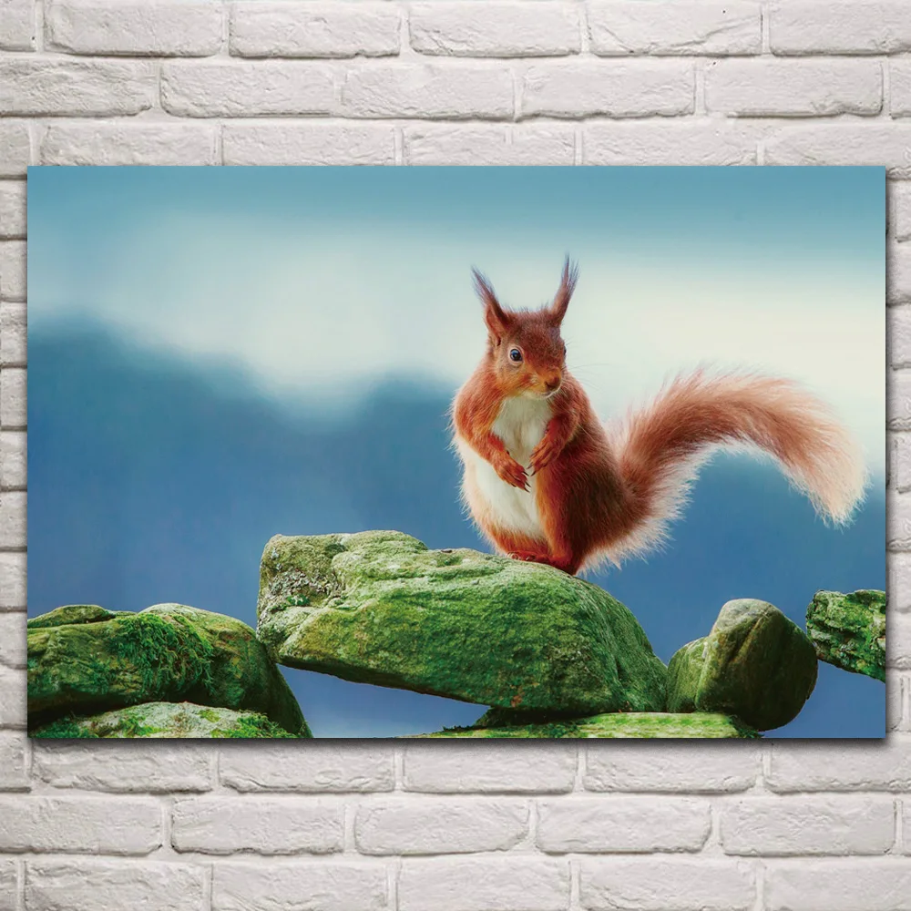 

Rodents Squirrels Stones Ginger color Tail Moss Animals fabric posters on wall picture living room home decoration art KQ758
