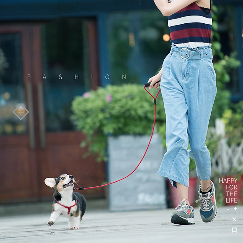 New Pet Dog Collars Traction Rope Supplies Chain Collar Chest Strap Harness Vest Adjustable Buckle Leash | Дом и сад