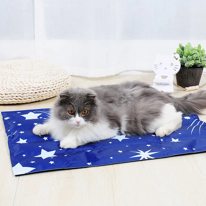 

Dog Ice Pad Summer Cooling Dog Ice Pad Cartoon Ice Pad Pet Ice Pad