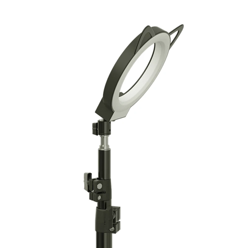 2020 селфи кольцо свет RK44 милый дизайн кошка Sh5 дюймов фото камера кольцевой со