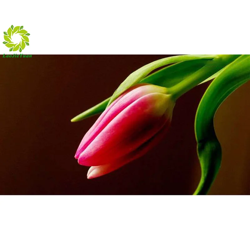 Алмазная живопись полностью квадратная вышивка цветок тюльпан узор стразы