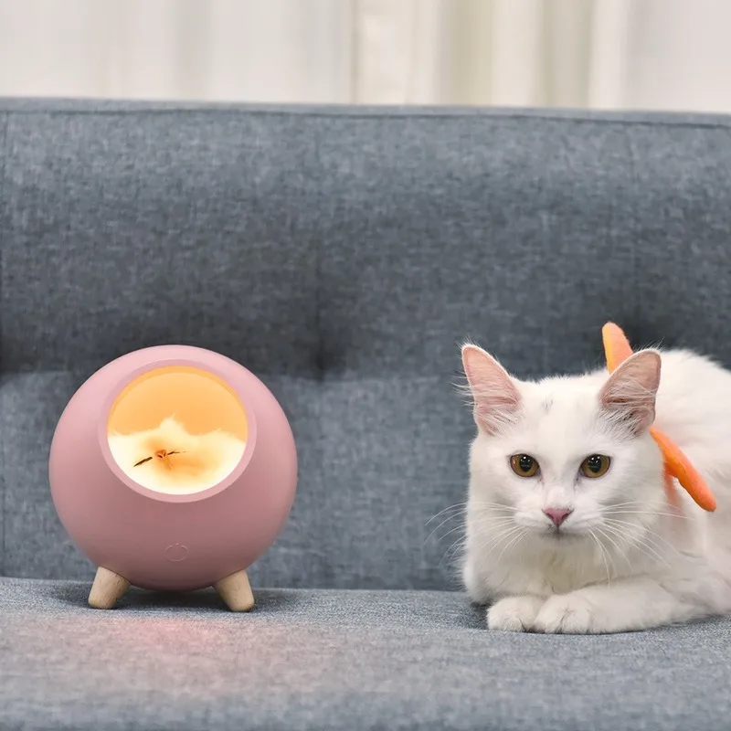 Ночник с милой кошкой и USB-подсветкой детская спальня современное домашнее