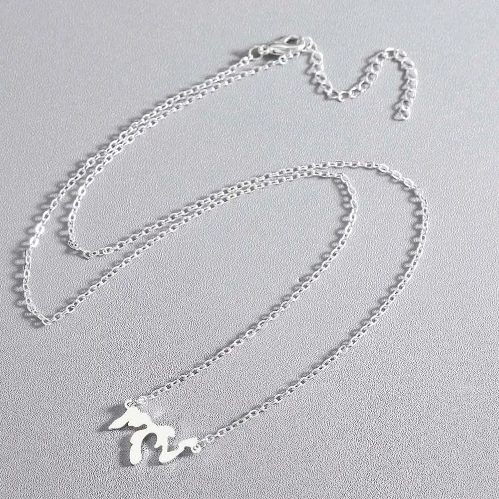 Тоторова великое озеро Мичиган Культовая подвеска озёр дома кулон ожерелье Illinois