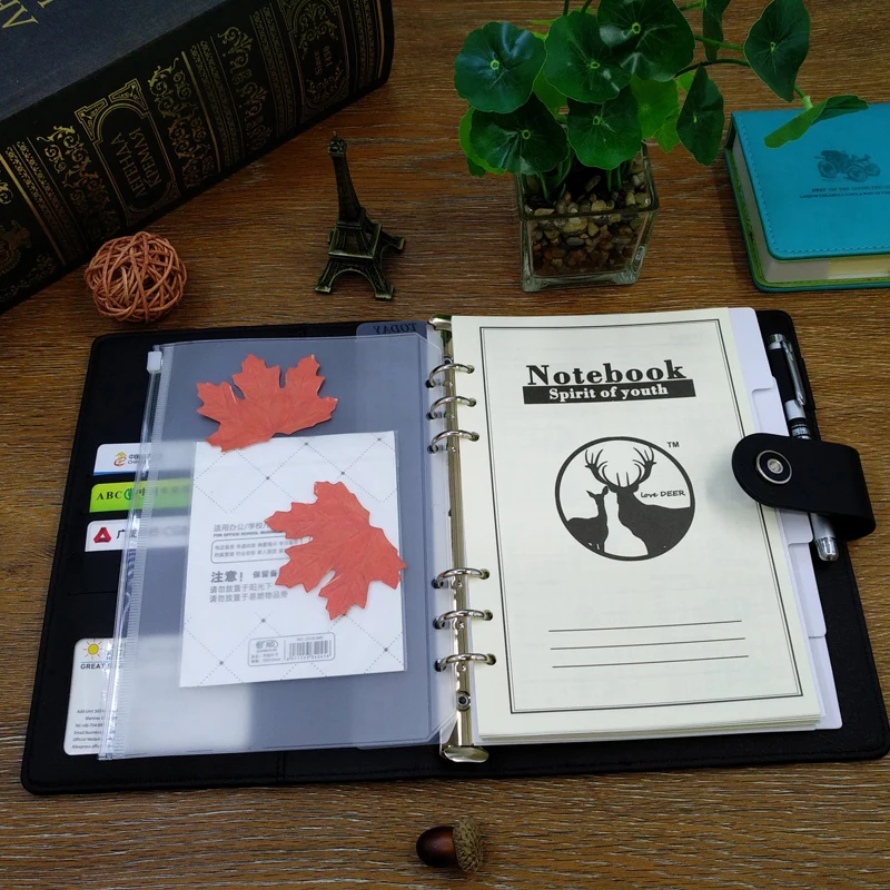 2020 планировщик А6 кошелек padfolio notebook золотая молния ежедневник прозрачная ручка