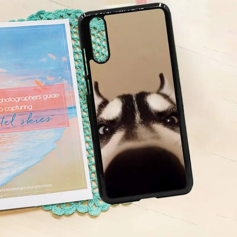 

Husky cute funny Dog animal Phone Case PC for iPhone 11 12 pro XS MAX 8 7 6 6S Plus X 5S SE 2020 XR luxury design shell