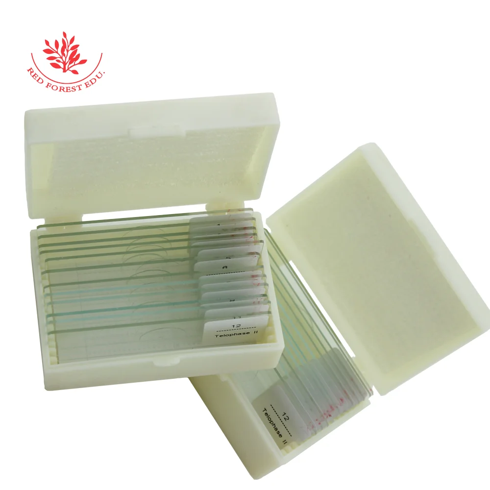 Слайды подготовленные для микроскопа Митоз и миоз растений с образцами обучения