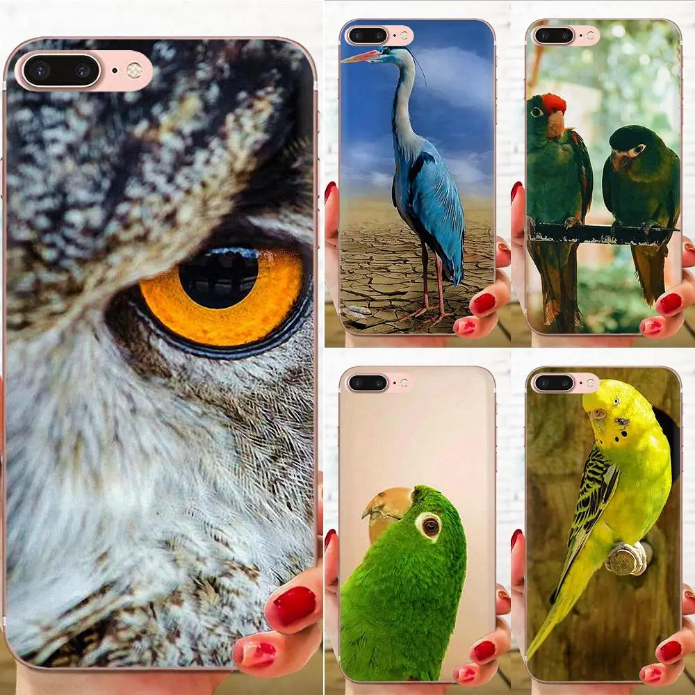 Мягкая защитная пленка из термополиуретана говорящая птица для huawei Honor mate 7 7A 8 9 10