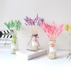 Реквизит Picta для съемки стебли растений Натуральные сушеные цветы Букеты лагурус оватус хвост кролика трава хвост кролика домашний декор