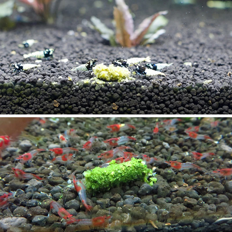 35 г натуральный аквариум креветка еда пчелы красные креветки шпинат бар питания