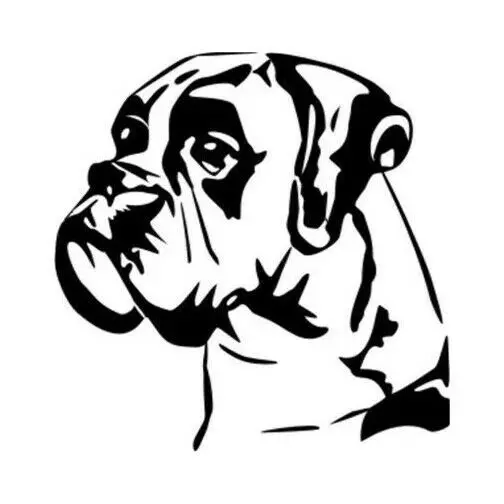 Светоотражающие Водонепроницаемые аксессуары для кузова автомобиля |