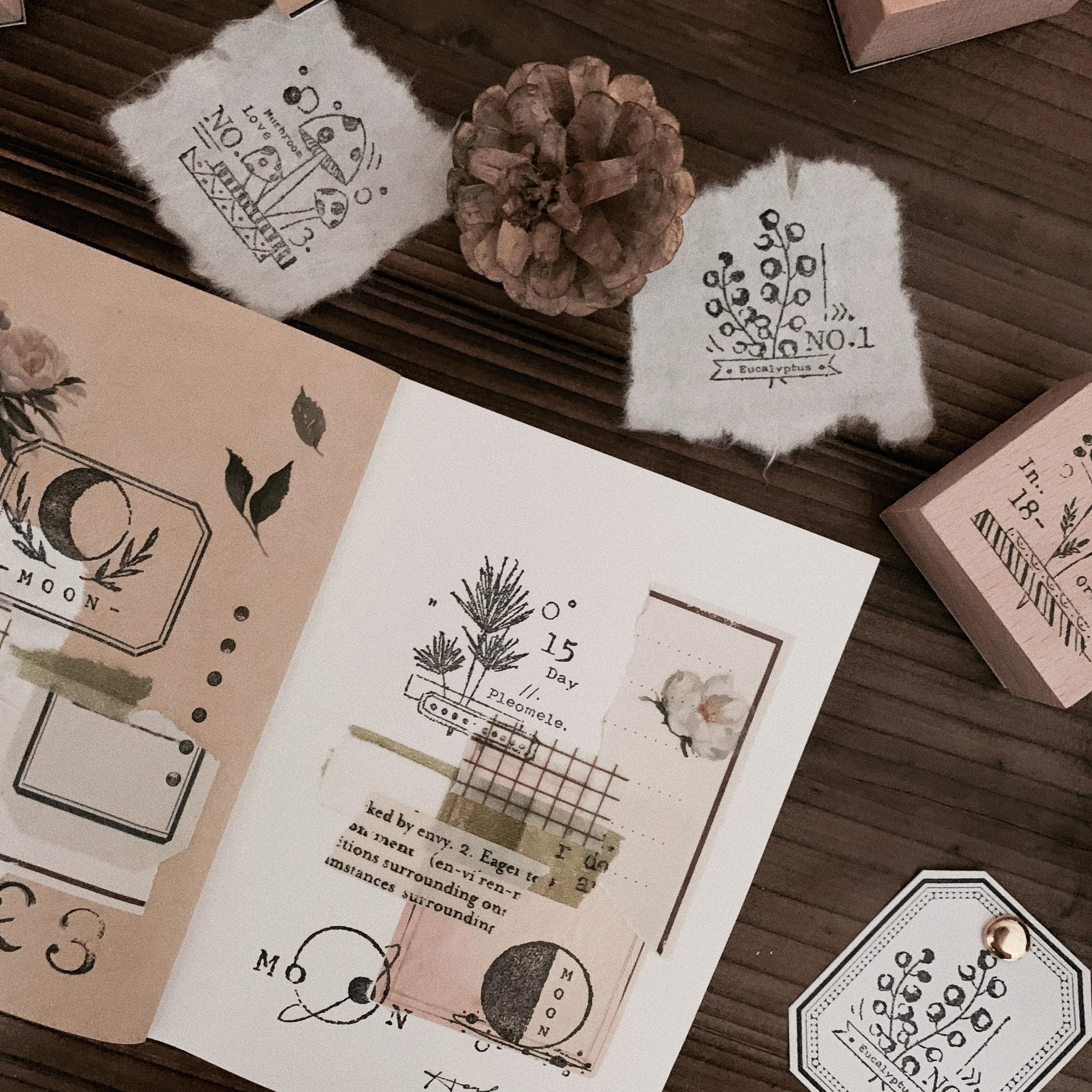 WOKO 6 шт./кор. винтажный Botany цветок печать штамп ретро завод гриб папоротник дерево и резиновое уплотнение бревна Печать декоративный планировщик дневник