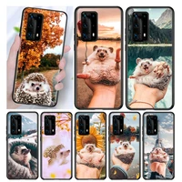 silicone cover cute hedgehog outing for huawei p40 p30 p20 pro p10 p9 p8 lite e plus 2019 2017 phone case