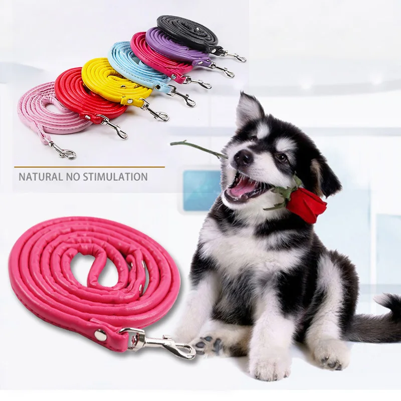120cm Pet Training Leather Pet Supplies Walking Harness Cat Accessories Dog Going Out Traction Rope Puppy Running