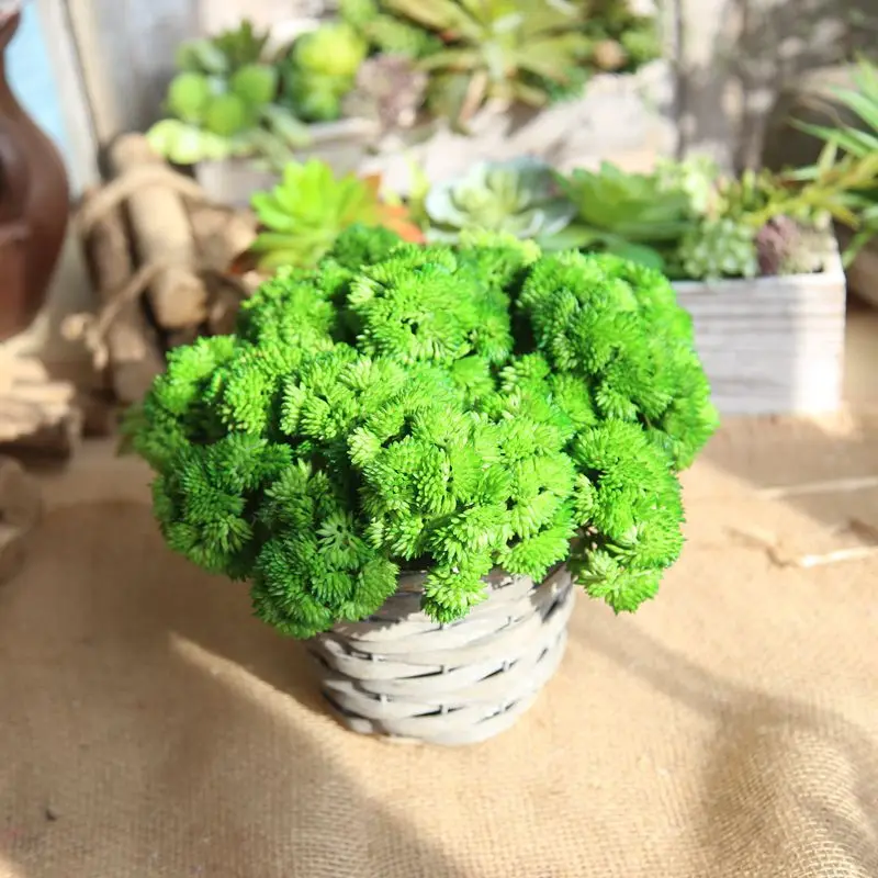 Новое поступление искусственный цветок суккулент мягкая клейкая лента