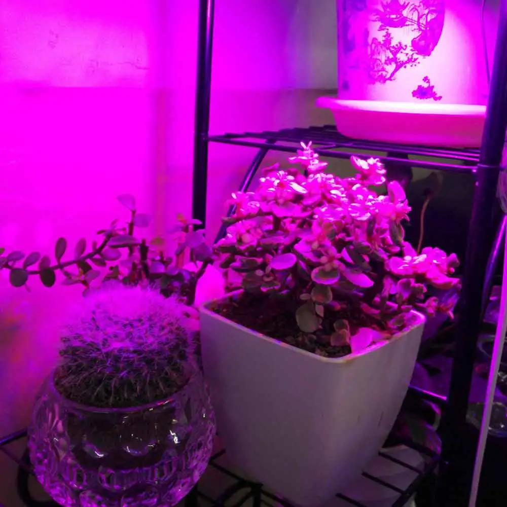 Полный спектр светодиодный завода светать светильник лампочка E26 E27 110V 220V Фито