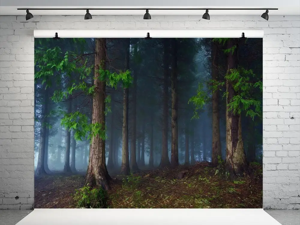 Kate весенний лесной Сказочный фон для фотосъемки с изображением деревьев зеленый