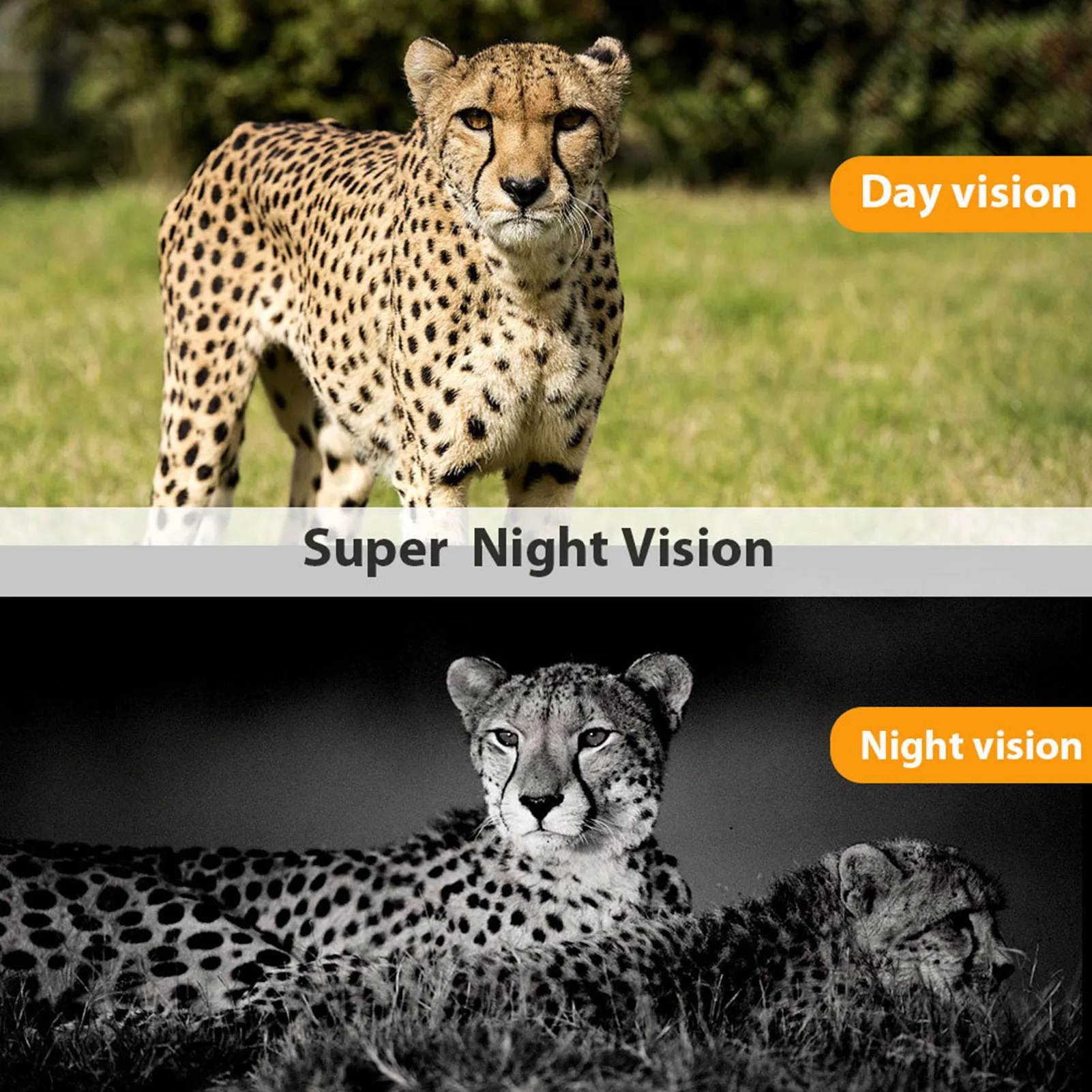 

Outdoor infrared night vision observation camera HC-804A Trail Camera HD Long Standby Time Animals Monitor