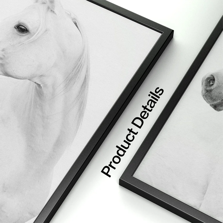

White Horse Animals Wall Art Canvas Painting Nordic Posters And Prints Canvas Art Wall Pictures For Living Room Bedroom Decor