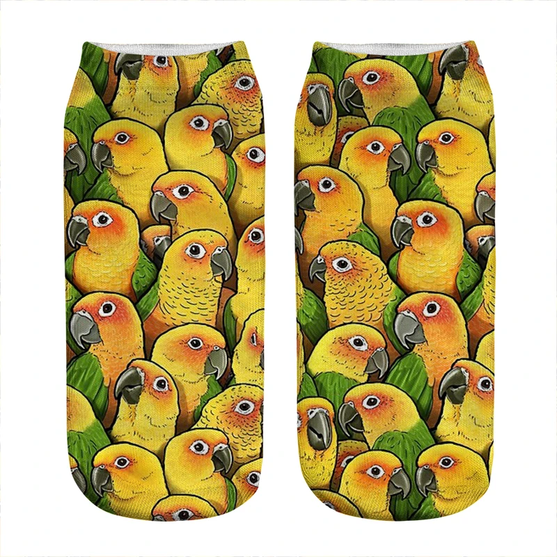 

Women's socks kawaii Funny Jenday Conures Parrots Socks Woman harajuku Happy Funny Novelty cute girl gift Socks for women
