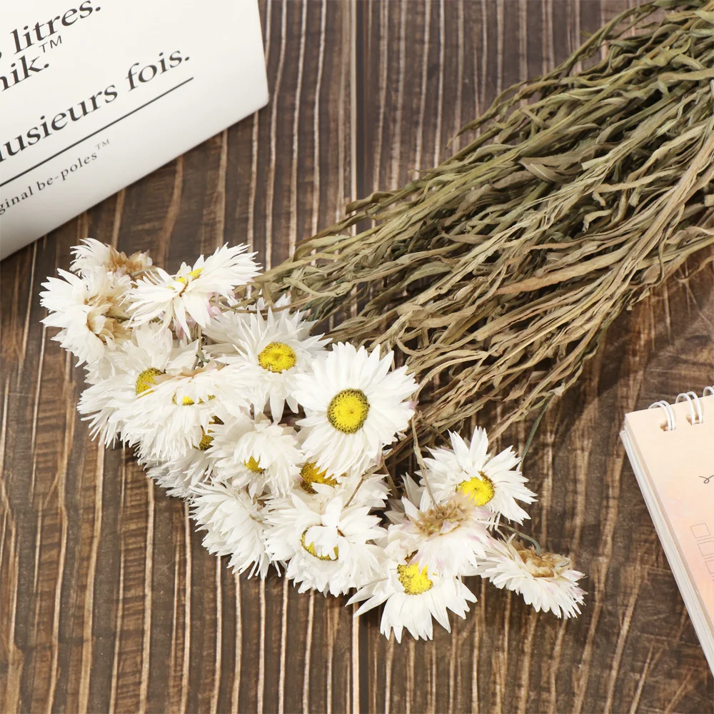 Маленький натуральный сушеный цветок Happy Flower миниатюрный для самостоятельного