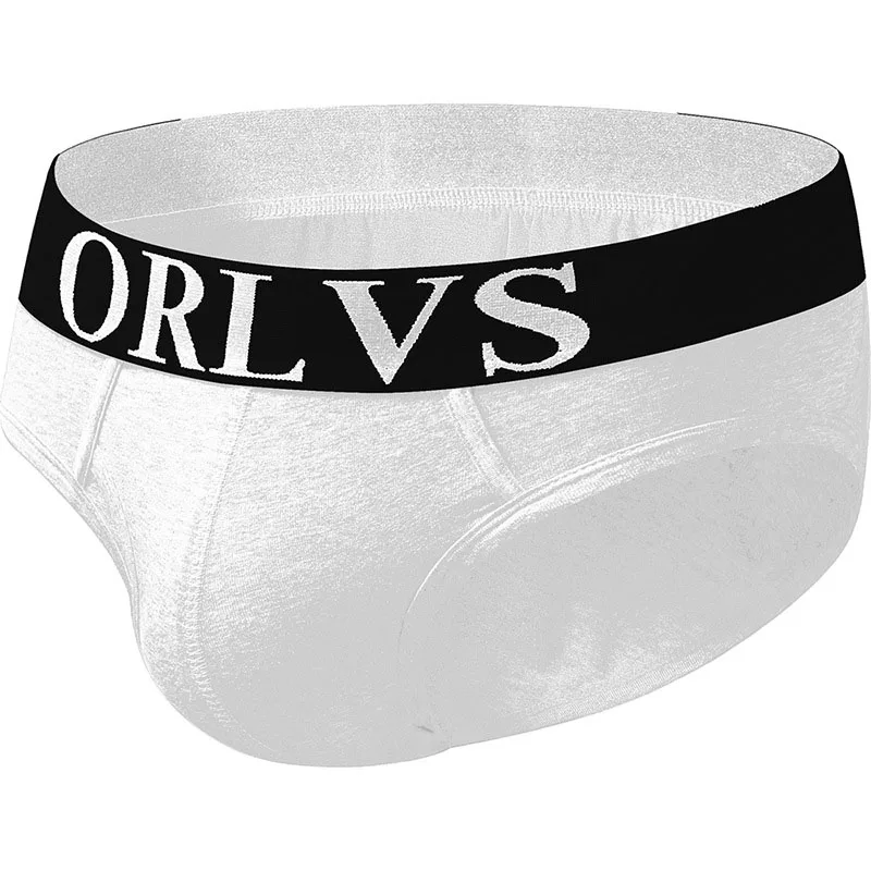 Men's Underwear Sexy Briefs Plus Size Fashion Underpants Lingerie Knickers Men Panties |